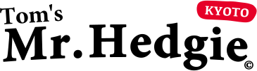 Tom's Mr.Hedgie